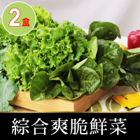 【會呼吸的菜】綜合水耕鮮菜2盒+贈沙拉醬2包(150g±5%/盒)