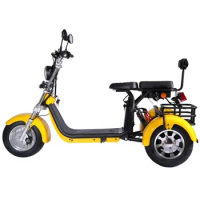 Capacity Powerfully Long Range Cheap Adult Tricycle Electric Scooter 3 Wheel With Pedals
