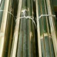 bambu bilah pagar 10pcs bambu bilah