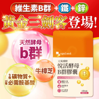 【ogaland】悅活酵母B群膠囊 60粒/包 天然啤酒酵母 牛樟芝(素食 維生素 葉酸 菸鹼酸)