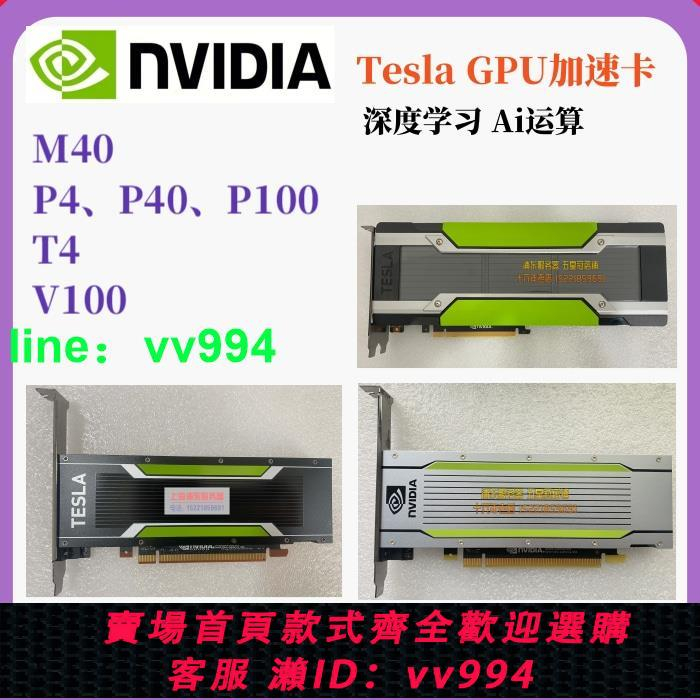 Tesla M40 2023 12 BigGo