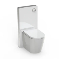 Luxury Bathroom Sets Toilet Seat Floor Mounted Slim Shower Toilet Automatic One Piece Smart Toilet Bidet