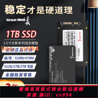 {最低價 公司貨}長城正品固態硬盤1TB 2TB臺式機筆記高速SSD512G全新固態硬盤批發