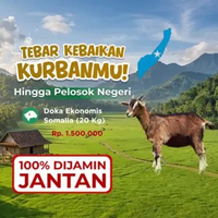 Kurban Qurban Kambing Unta Somalia - Dompet Dhuafa Doka Ekonomis