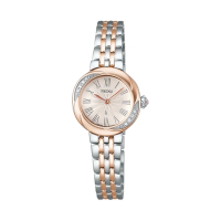 SEIKO 精工 LUKIA 時尚高貴典雅鑽石半金錶-女錶(SSWA002J)23mm-SK008