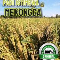 Padi MEKONGGA biji padi kualitas tinggi pertumbuhan 99% kemasan 1kg
