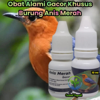 Vitamin Super Gacor Anis Merah Obat Alami Bikin Gacor Burung Anis Merah