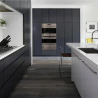 2020 contemporary kitchen cabinets flat-panel cabinets an island an undermount sink black cabinets Kitchen remodel CK205