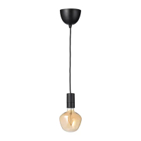 SUNNEBY/MOLNART 吊燈附燈泡, 黑色 鐘形/棕色 透明玻璃