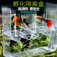 魚繁殖盒魚缸魚苗孵化器隔離盒小魚孵化盒亞克力魚卵產房