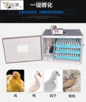 免運/熱銷 全自動多功能孵蛋器 家用智能孵化機大型小雞孵化器