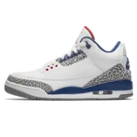 AIR JORDAN 3 RETRO TRUE BLUE 2016