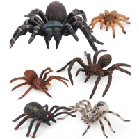 Simulation Animals Insect Solid Model Tarantula Black Spider Halloween Tricky Prank Scary Funny Action Figures Educational Toys