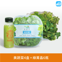 NICE GREEn 美蔬菜 美蔬菜盒4+綠菁晶 6 瓶 贈沙拉醬4包(萵苣 生菜 沙拉 蔬菜 綜合蔬果汁)