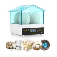 China Digital Temperature Small Brooder 4 Mini Hatchery Egg Incubator Hatcher for Chicken Duck Bird Quail