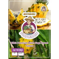 Bibit Premium Buah Naga Sweet Yellow | Benih Naga Kuning