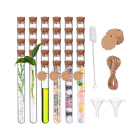 Test Tube With Cork 30pcs Test Tubes for Flowers Plastic 20ml Test Tubes with Kraft Paper Attachment(150x16mm)