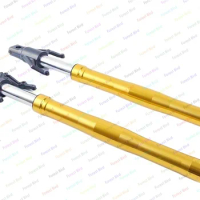 Left Right Motorcycle Front Fork Shock Absorbers Suspensions CBF190X