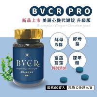 BVCR Pro錠 酵母B群 酵母鉻 陳年醋 富鐵藍藻 60錠