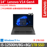 【Lenovo】14吋i5商務特仕筆電(V14 Gen4/i5-12500H/8G+8G/1TB SSD/300nits/W11P/三年保)