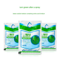 30g Horticultural Foliar Plant Fertilizer spray Yellow leave turn green Highly concentrated Water Soluble Organic Fertilizer