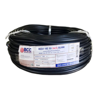 สายไฟ BCC VCT 2*2.5 SQ.MM. ขนาด 100 ม. สีดำ