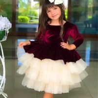 Burgundy Flower Girl Dress Fluffy Layered Tulle Puffy Princess Ball Beauty Pageant First Communion Kids Birthday Gowns