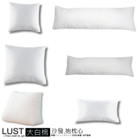 【LUST】 枕心 抱枕心 現貨 多種尺寸/沙發靠墊/台灣製造