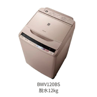 【點數10%回饋】日立HITACHI BWV120BS 直立式洗衣機 小容量 12kg 自動槽洗淨