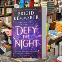 Defy the Night by Brigid Kemmerer