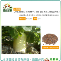 【綠藝家】大包裝C03.美豐白蘿蔔18克 (日本進口超雲大根)種子