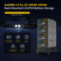 GoKWh Lifepo4 DIY Battery Case No Battery 48V 200Ah 230Ah 280Ah 300Ah Built-in 48V 16S BMS Solar Kit without Cell