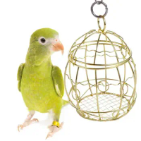 Bird Shredder Toys Stainless Steel Cage Feeder Parrot Foraging Millet Container Pet Accessories