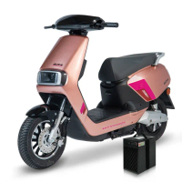 【向銓】ALITA微型電動二輪車 PEG-066/瑞馬 NA-DPST(電動車)