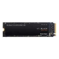 WD เอสเอสดี 1TB Black SN750 High-Performance M.2 NVMe Internal Gaming SSD (WDS100T3X0C)