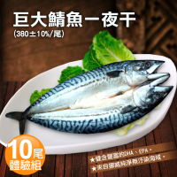 【優鮮配】挪威當季鯖魚一夜干10尾體驗組(約380g/整尾)