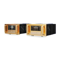 N-110 A-200 Mono Bock Class A Power Amplifier Study Accuphase Brand Technology 300W/CH 8-ohm HiFi Power AMP Pair