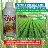 Pupuk Ajaib Penambah Bobot Padi Hasil Panen Berlipat - Obat Padi Agar Cepat Panen dan Berbobot, Beri