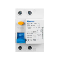 ManHua VDF-63 2P Type B 63A RCD RCCB Leakage Circuit breaker for EV charger