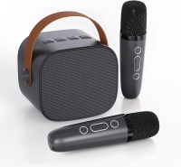 Karaoke Machine for Kids AdultsPortable Bluetooth Karaoke Speaker for Adults Kids with 2 Microphones