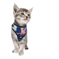 【酷博士】動物星球貓咪專用胸背帶 附專用牽繩(牽繩 遛貓)