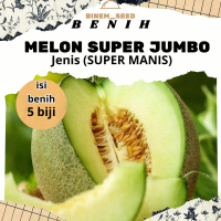 BENIH MELON SUPER ISI 5 BENIH