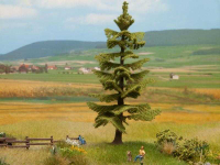 Mini 特價優惠 Noch 21833 Spruce Tree 雲杉樹.14.5cm