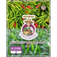Bibit Premium Cabe Rawit Genie Hijau|Biji Benih Cabe Rawit Hijau|Cabai