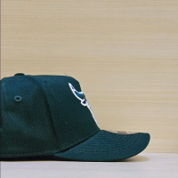Topi Baseball Banteng Hijau Bordir Putih