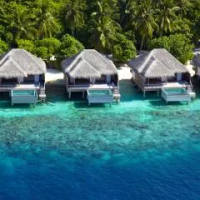 住宿 Dusit Thani Maldives - 50 percent discount on transfers for stays until 20 Dec 2025 芭環礁
