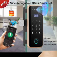 Tuya Smart Face Fingerprint Glass Door Lock Office Door RFID Card Digital Lock Electronic Lock Single&amp;Double Smart Door Lock