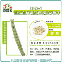 【綠藝家】E08-1.白仁白格長豇豆(東立)種子5克(約35顆)