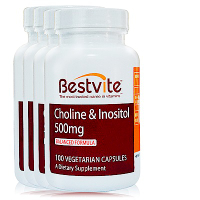 【美國Bestvite】必賜力膽鹼加肌醇膠囊4瓶組(100顆/瓶)