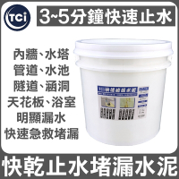 【十田修繕】TCI 水泥裂縫破洞漏水 快乾止水堵漏水泥 15KG 速乾型